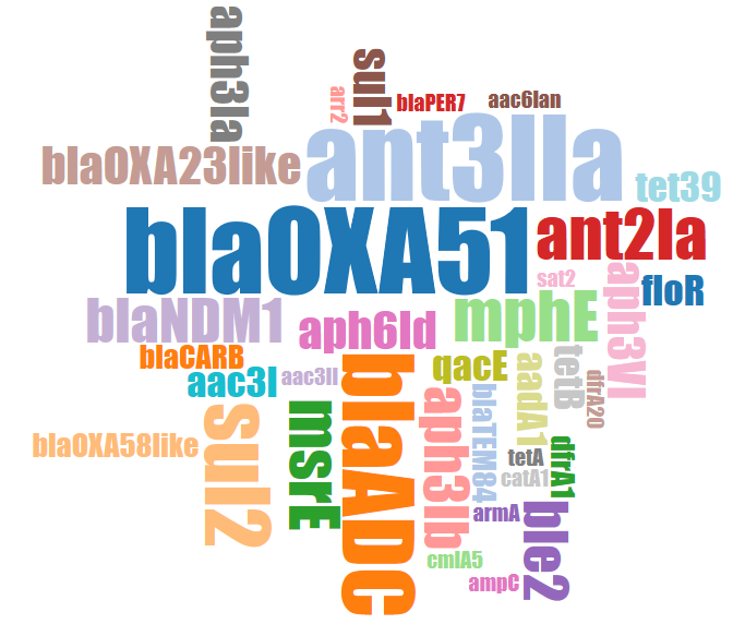 word cloud image